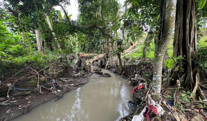 For Sale: River View Rice Field Land in Tanah Lot Area, Tabanan For Sale: River View Rice Field Land in Tanah Lot Area, Tabanan