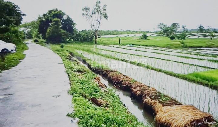 Dijual Tanah Dekat ke Pantai Kelecung Tabanan