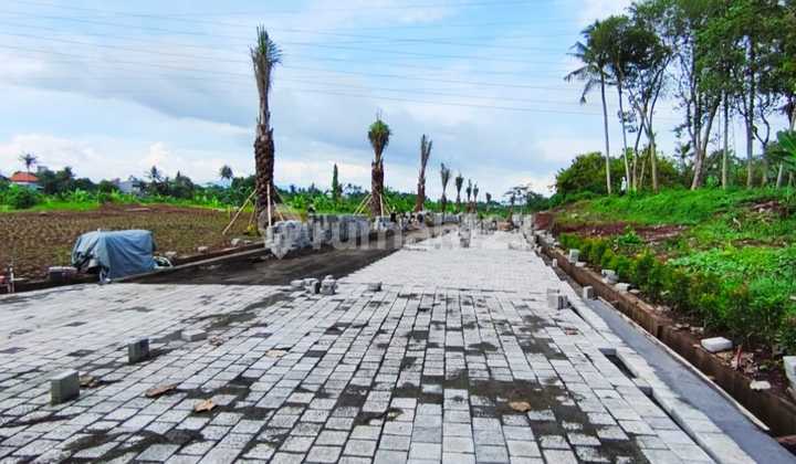 New Opening Kavlingan Dekat Pantai di Tabanan