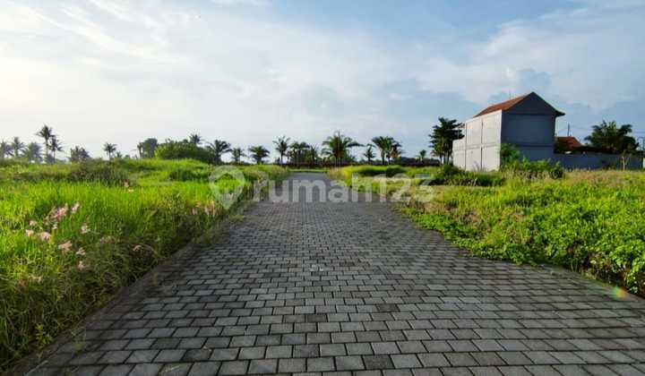Dijual Tanah Loss Sungai View Jungle Tabanan