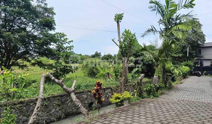 Dijual Tanah Cocok untuk Kompleks Villa Kerobokan Dijual Tanah Cocok untuk Kompleks Villa Kerobokan