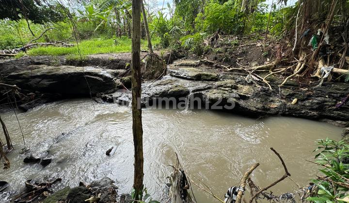 For Sale: River View Rice Field Land in Tanah Lot Area, Tabanan For Sale: River View Rice Field Land in Tanah Lot Area, Tabanan