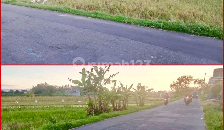 Tanah Bagus Pinggir Jalan Tamanmartani Kalasan Area Perumahan Tanah Bagus Pinggir Jalan Tamanmartani Kalasan Area Perumahan