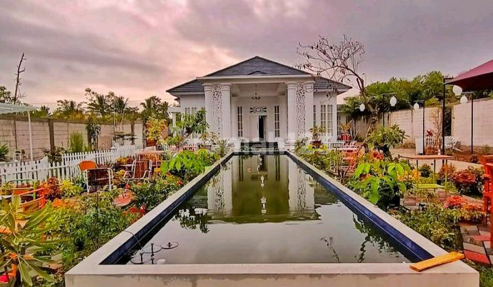 Rumah Mewah Kolam Renang Turi Sleman Nyaman Sekali