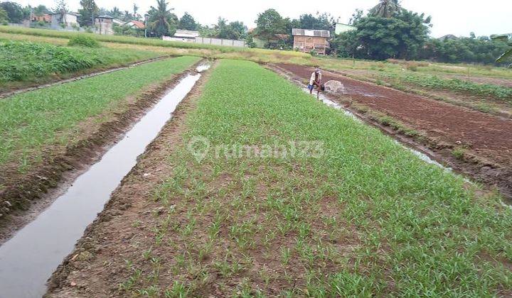 Tanah Pinggir jalan Gempol Sari Sepatan Timur Tangerang 1