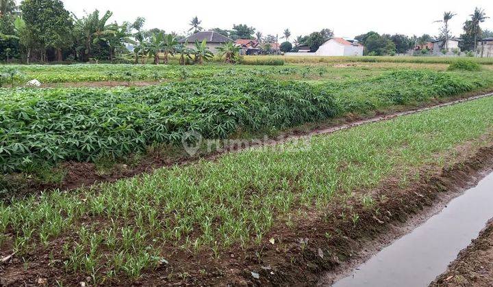 Tanah Pinggir jalan Gempol Sari Sepatan Timur Tangerang 2