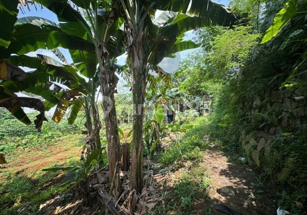 Dijual Tanah Murah di Bojongsari, Depok 