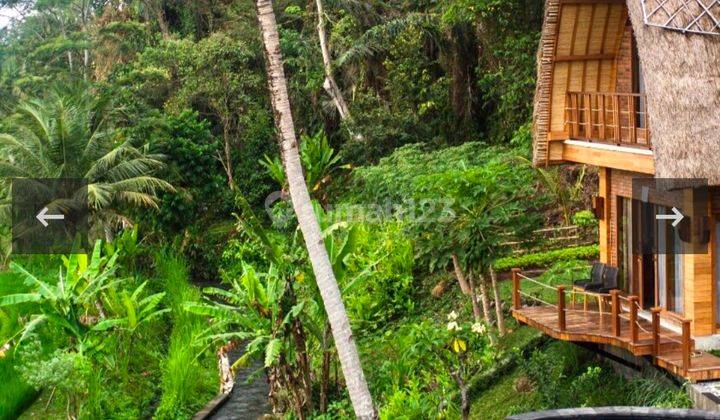 Villa View Sawah di Sidemen Karangasem  1