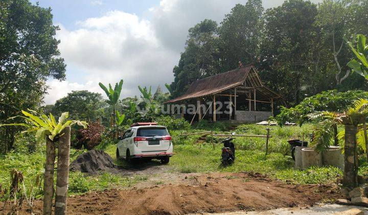 Tanah Perkebunan Di Jatiluwih Penebel 1