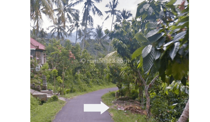 Quick sale of garden land in Pohsanten Mendoyo Jembrana 1