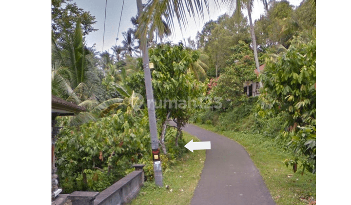 Quick sale of garden land in Pohsanten Mendoyo Jembrana 2