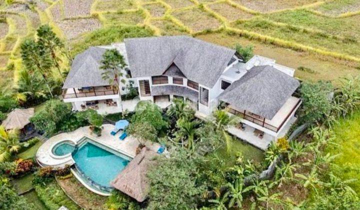 Villa Tropis  View Sawah Di Lodtunduh  Ubud