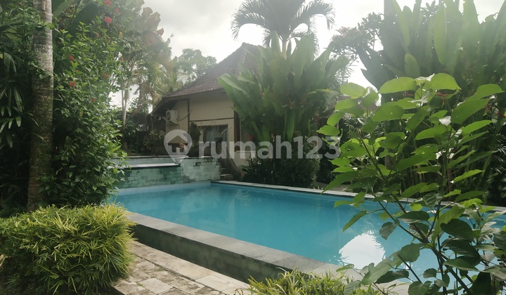  Commercial Villa / Tourist Lodge in Sayan Ubud 2