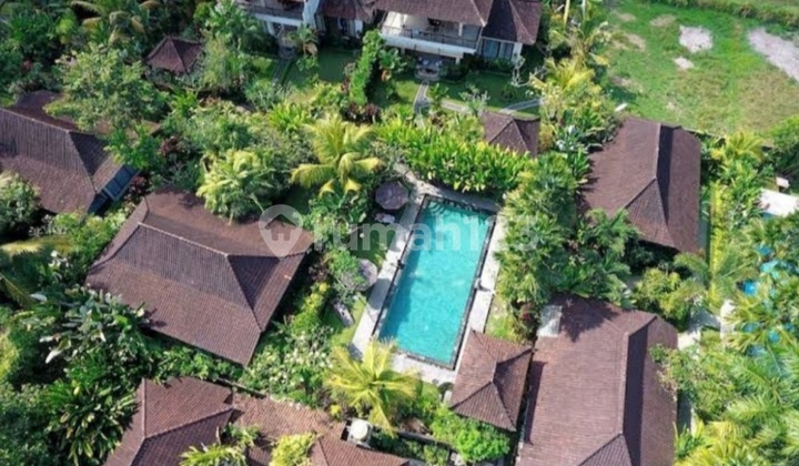 Commercial Villa / Tourist Lodge in Sayan Ubud Commercial Villa / Tourist Lodge in Sayan Ubud