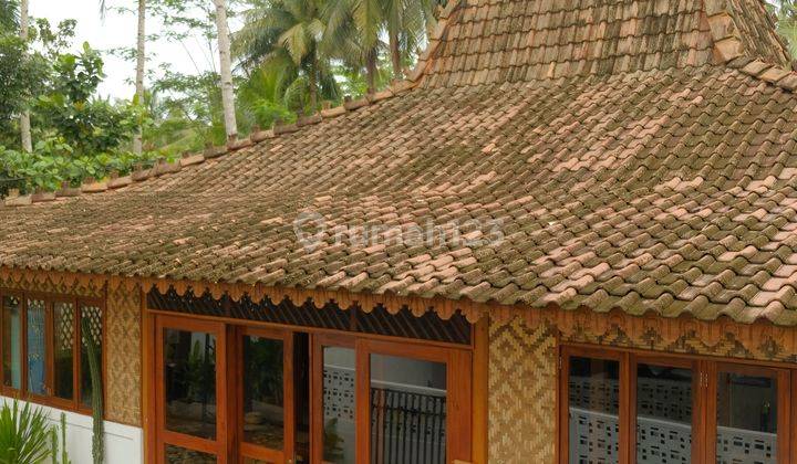 Commercial Villa dan Joglo Style di Cijulang Pangandaran 6