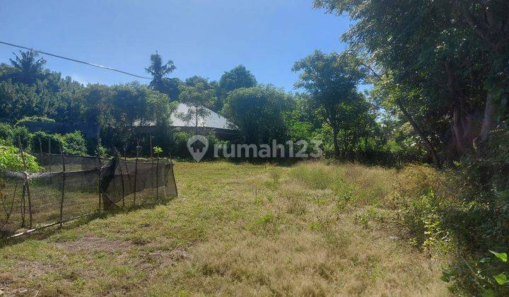 Investasi Tanah HGB di Gili Meno 5