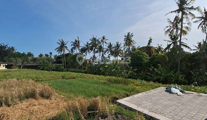 Tanah Kavling View Laut Di Cemagi 2