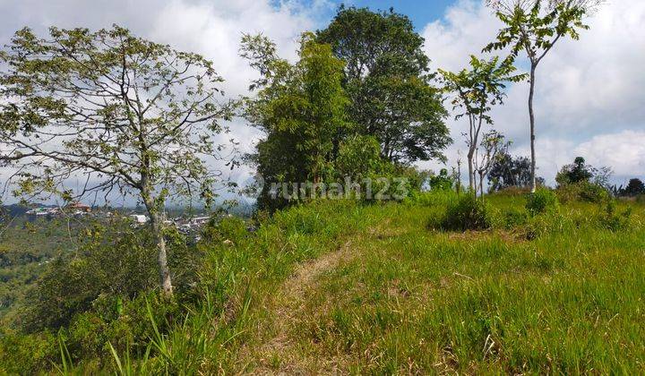 Lake and Mountain View Land in Penelokan Batur Kintamani 2