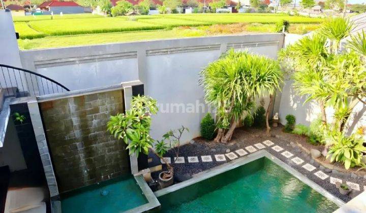 Rumah Semi Villa Modern Minimalis di Kerobokan 6