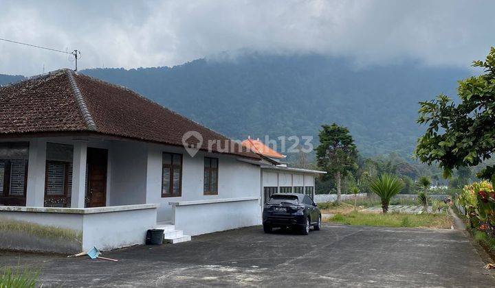 Tanah Jual atau Sewa di Raya Pancasari Bedugul 2