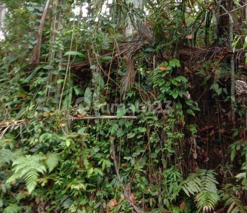 Tanah Dekat Ubud Central di Gunung Sari Peliatan 2