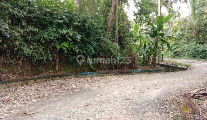 Tanah Dekat Ubud Central di Gunung Sari Peliatan 1