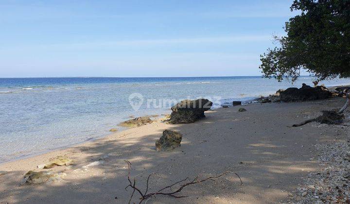 Tanah Beachfront di Pulau Moyo Sumbawa 1