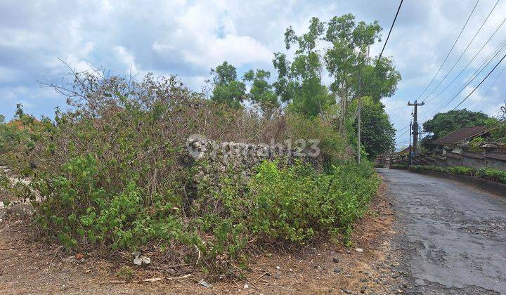 Sea View Land in Tundun Penyu - Ungasan 2