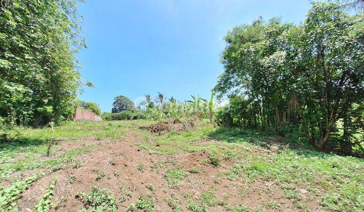 Land Near the Beach in Permata Pering - Saba 1