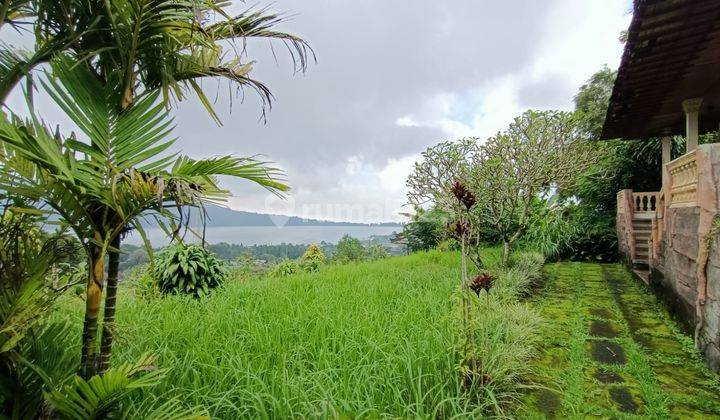 Tanah View Danau di Candikuning Bedugul 1