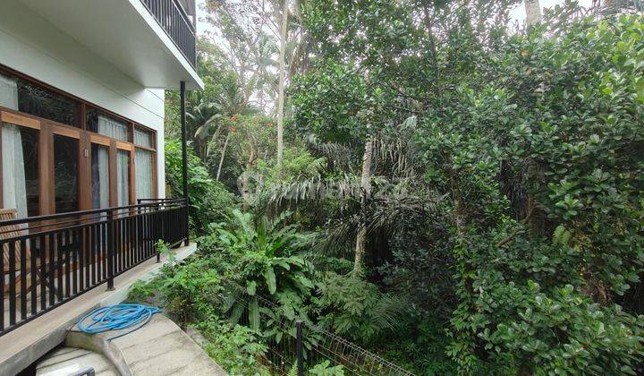 5BR Forest View Tourist Cottage in Tirta Tawar Ubud 2