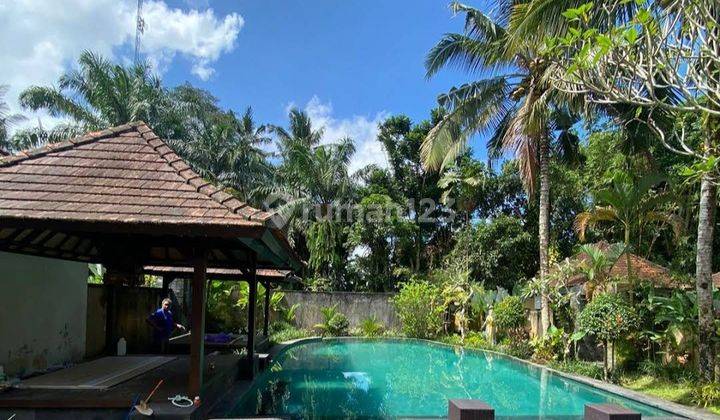 Villa / Tourist Lodge in Payangan Near Ubud  1