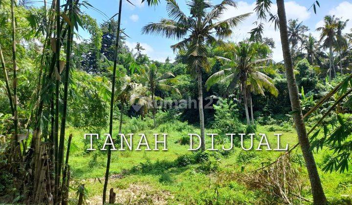 Tanah Murah View Sungai  di Singakerta Ubud 1