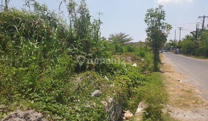 Tanah Hook Di Dewi Sri  Dekat Sate Babi Bawah Pohon 2