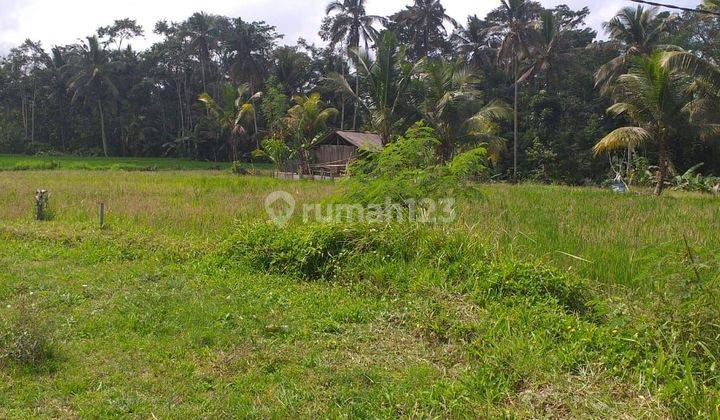 Tanah Tegalan di Raya Pejeng Tampaksiring  Dekat Ubud  2