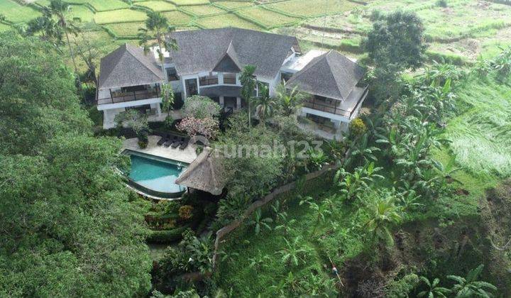 Villa Tropis  View Sawah Di Lodtunduh  Ubud