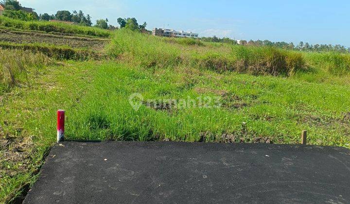 Tanah Kavling Dekat Pantai Kedungu 2