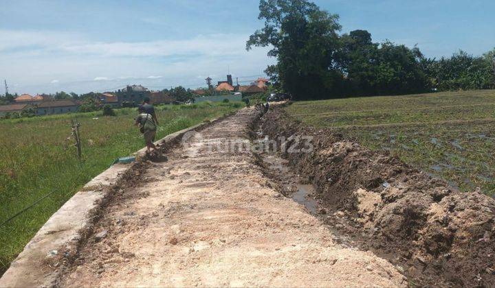 Tanah Kavling Kedungu Tabanan 2