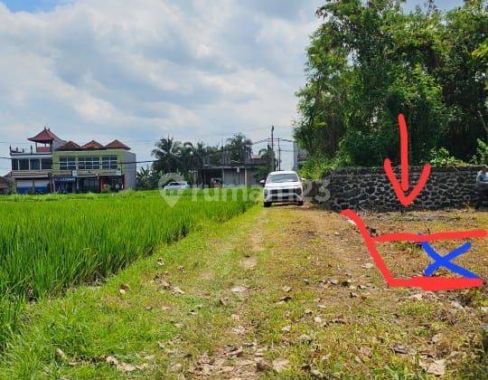 Land Plot Villa Area In Kedungu Beach 1