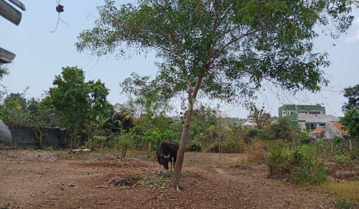 Tanah Puri Gading Dekat TAMAN RAMA Jimbaran 2