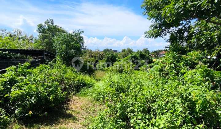 Tanah Ocean View Di Temudewi Pecatu