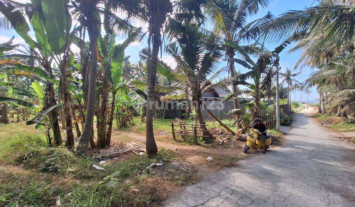 Tanah Dekat Pantai Di Pantai Saba Gianyar 2