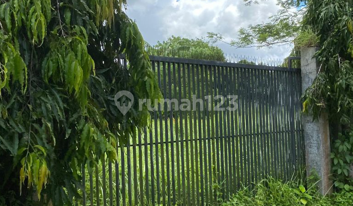 Tanah Lingkungan Villa di Lodtunduh Ubud Tanah Lingkungan Villa di Lodtunduh Ubud