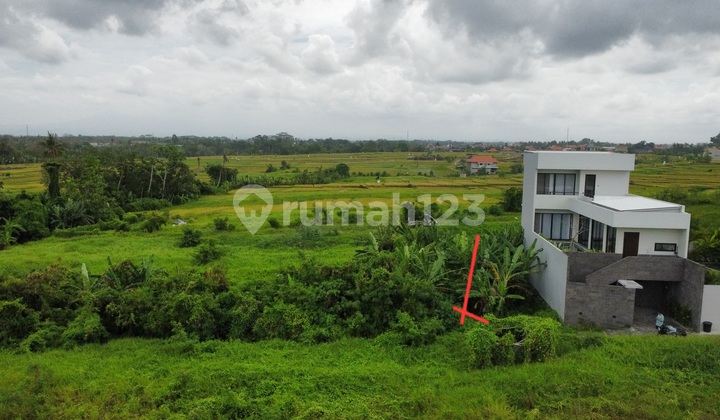 Ocean View Land Near Cemagi Beach Ocean View Land Near Cemagi Beach