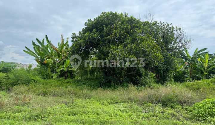 Tanah View Laut Dekat Pantai Padanggalak Sanur Tanah View Laut Dekat Pantai Padanggalak Sanur