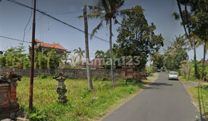 Agricultural land in Tengkulak Mas Kemenuh Gianyar