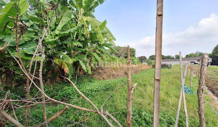 Land Plot Near French School In Umalas 1