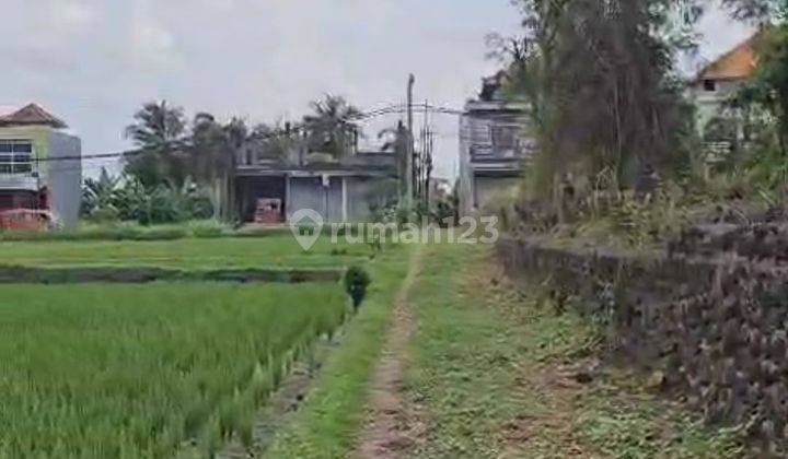 Land Plot Villa Area In Kedungu Beach 2