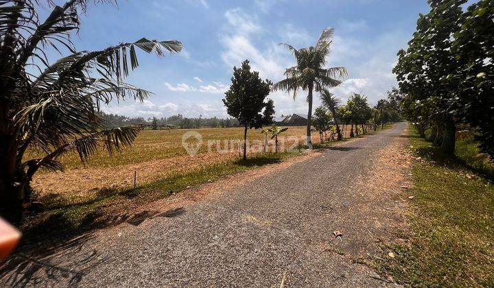 Tanah Kavling  Dekat Pantai  Belong Beach 2