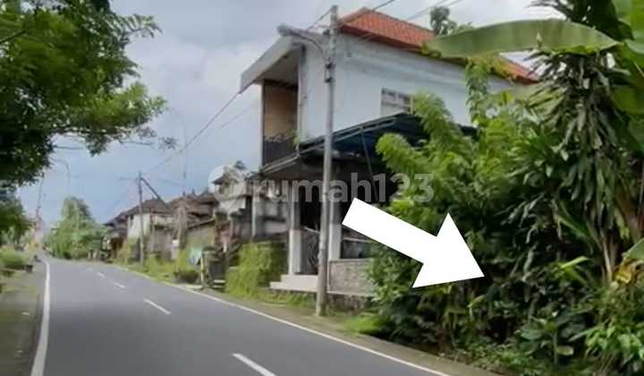 Tanah Zona Campuran Di Area Wisata Bongkasa